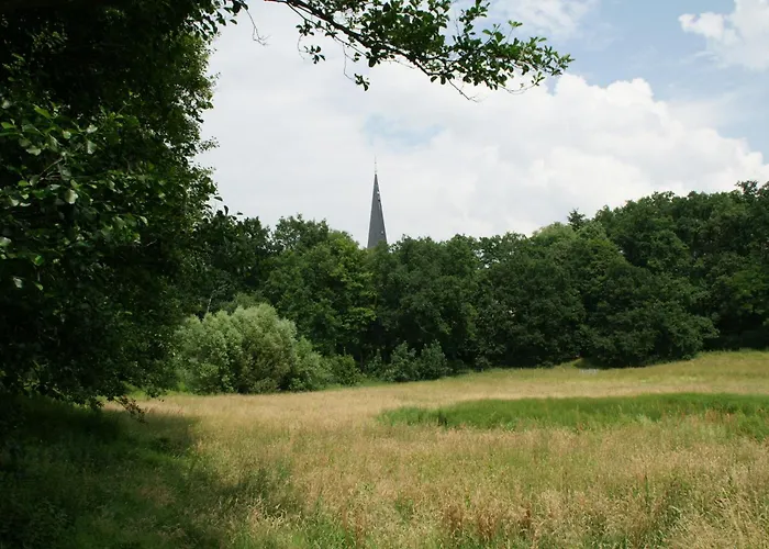 Gasthof Tillmanns-haus *